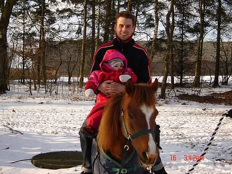 Pinto Museline - Skide god som begynder pony, min venindes kæreste og deres lille datter "højt" til hest... billede 11