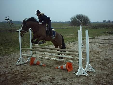 Fuldblod (XX) Aksaias (DØD) :( - Mig og aksaias springer lige en lille okse .., det var ikke lige den store spring dag .. (: billede 3