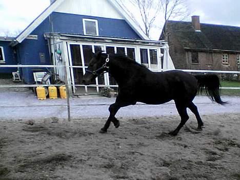 Traver Peppe Skovsgård (Død)  billede 8