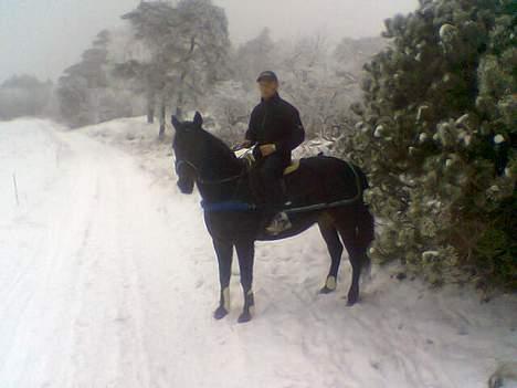 Traver Peppe Skovsgård (Død)  billede 10