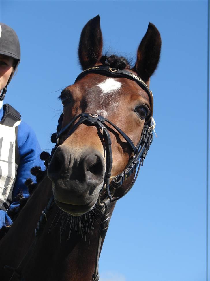 DSP Cassiopeia - militarystævne CNC 80 billede 6