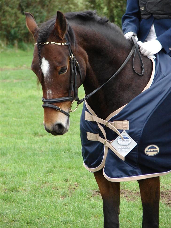 DSP Cassiopeia billede 7