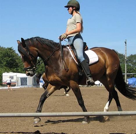 DSP Cassiopeia - dressur på ridelejr 2006 billede 8