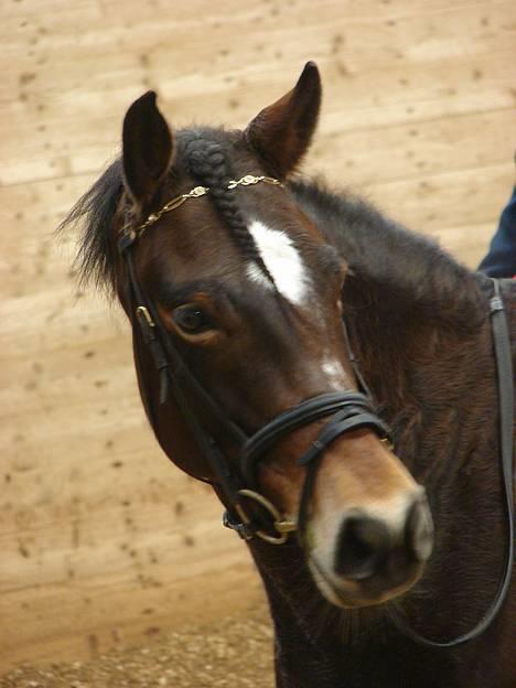 DSP Cassiopeia - nååår <3 billede 9