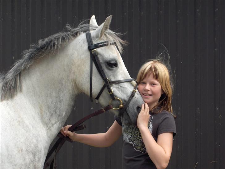 Hollandsk Sportspony | Rainy Lake (solgt 07) - Min smukkeste pony og Ditte(;<33 billede 1