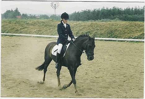 Anden særlig race Rosty Don - opvarming til la1 billede 3