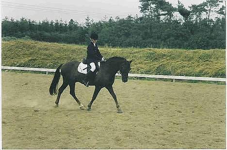 Anden særlig race Rosty Don - opvarming til la1 billede 4