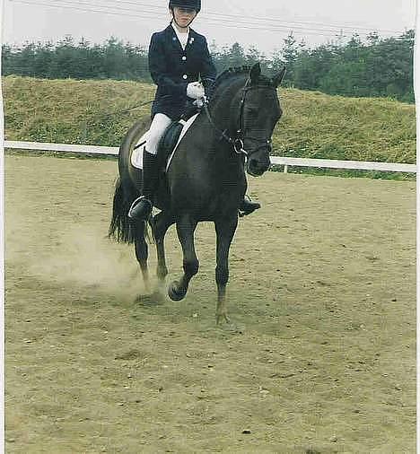 Anden særlig race Rosty Don - opvarming til la1 billede 5