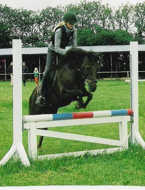 Anden særlig race Rosty Don - træning i NVR billede 10
