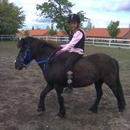 Anden særlig race Bleika