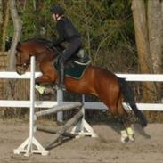 Anden særlig race For you<3.! (red)