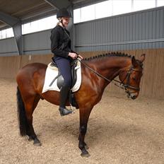 Connemara Maskenkol's Rebelix