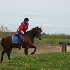 Connemara Maskenkol's Rebelix