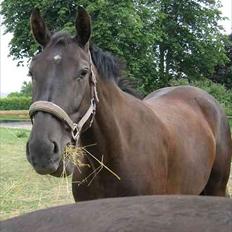 Oldenborg Alexia af Vodagergård