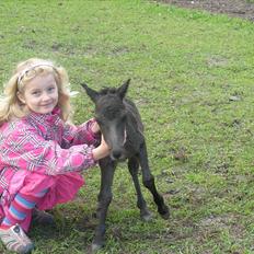 Miniature Prinsesse (solgt)