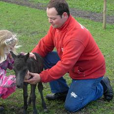 Miniature Prinsesse (solgt)