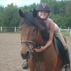 Anden særlig race Prinz