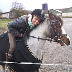 Anden særlig race Pandora - Låner 