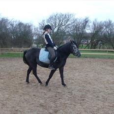 Anden særlig race fnuggi