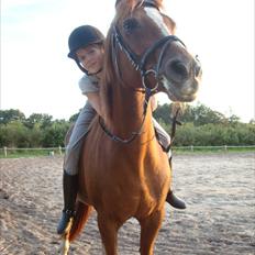 Anden særlig race Twiggie (Part)