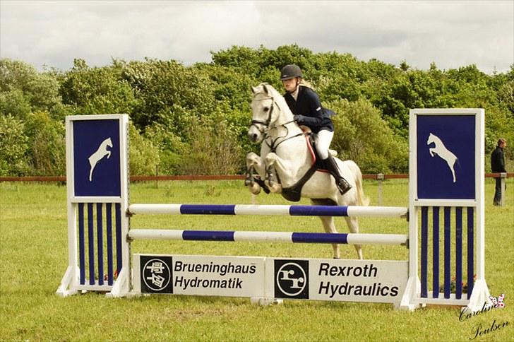 Anden særlig race Ariel - sjm 2010 kæft en dårlig rytter undskyld smukke Ariel billede 19