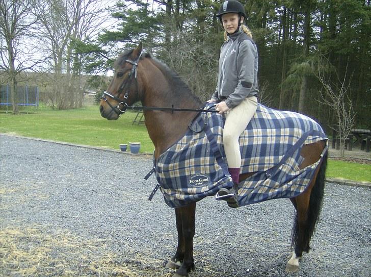 Welsh Pony (sec B) bakkegårdens prins SOLGT  - Mig og prinsemand den første gang jeg sad på ham :)!<3 billede 1