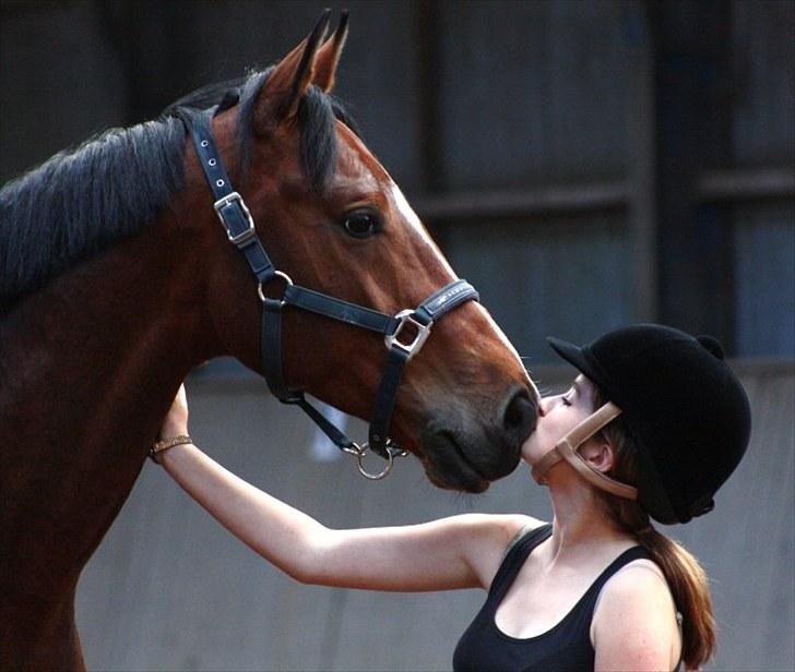 Trakehner Wisconsin M - R.I.P :'( - mys mys *: billede 7