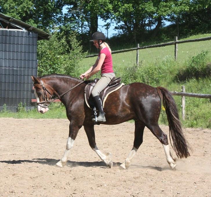 Anden særlig race Sam - 16. juni 2010 billede 15