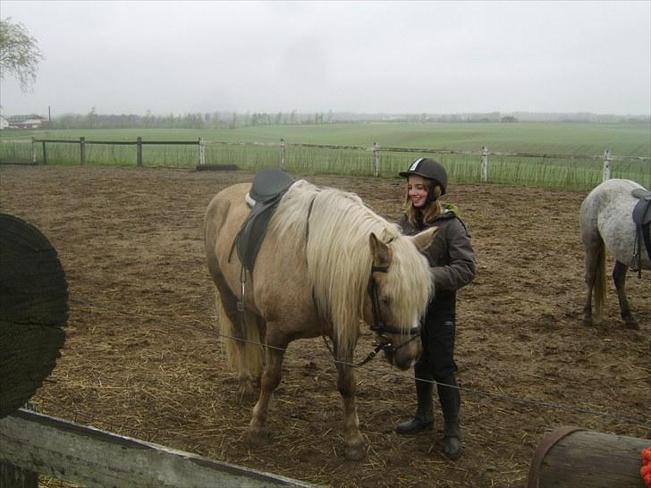 Anden særlig race Cæcar - SOLGT billede 14