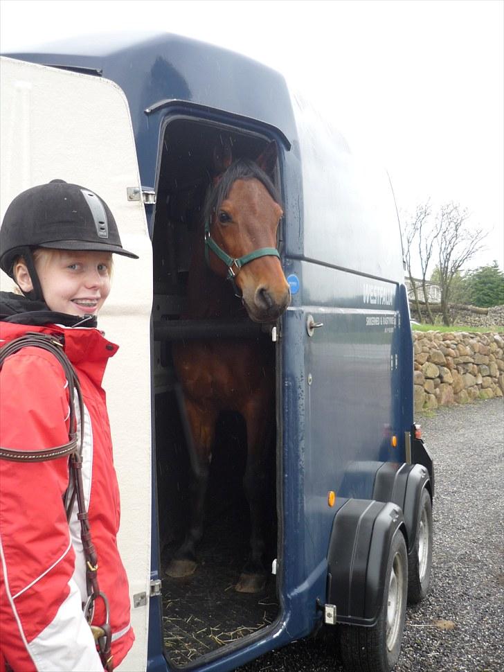 Connemara Maskenkol's Rebelix - Lexi er utrolig nysgerrig billede 4