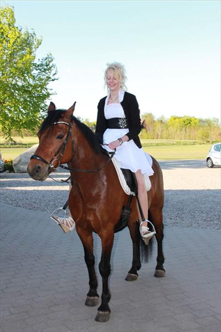 Connemara Maskenkol's Rebelix - Rebelix til min konfirmation:D billede 5