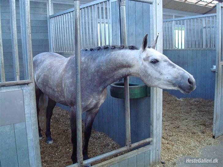DSP MÅLUND'S MINI-MAJ - Da vi var oppe og se på Mini-Maj billede 18