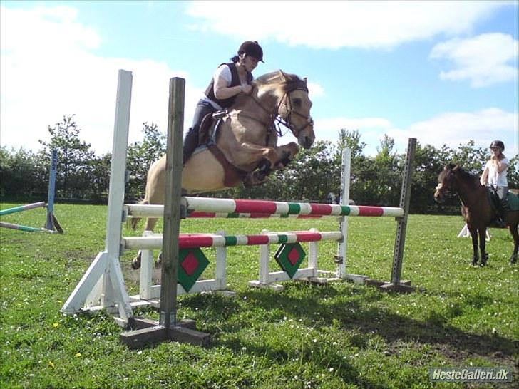 Anden særlig race Mille - B-pony - SOLGT ;/ - Uden bøjler!! 90-100cm - Mille & jeg til træning d.17 Juni 2010 d; - Foto : Malene Petersen billede 13