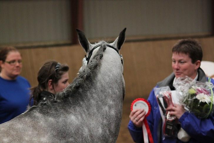 DSP MÅLUND'S MINI-MAJ - Fløj hoppe 2010 til DSP kåring billede 9
