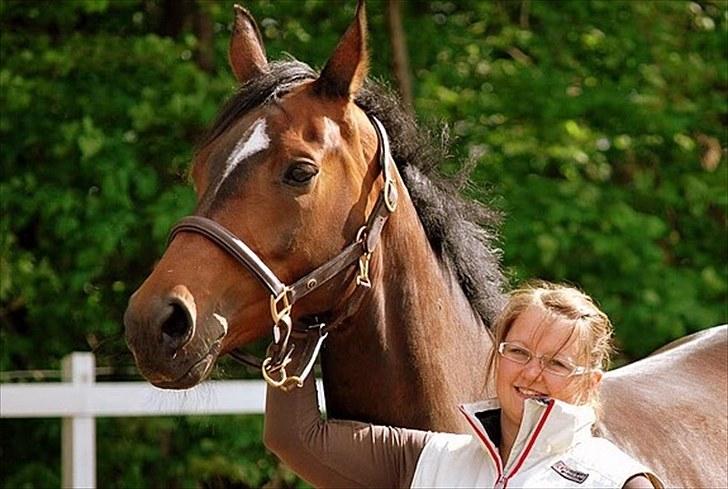 Dansk Varmblod Dunett - SOLGT - Fotograf: Malou Bach Lund billede 5