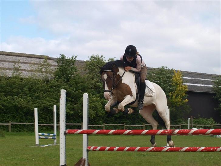 Anden særlig race Ebonys Surprise   (solgt/ R.I.P) - Ja talent har hun godt nok . billede 5