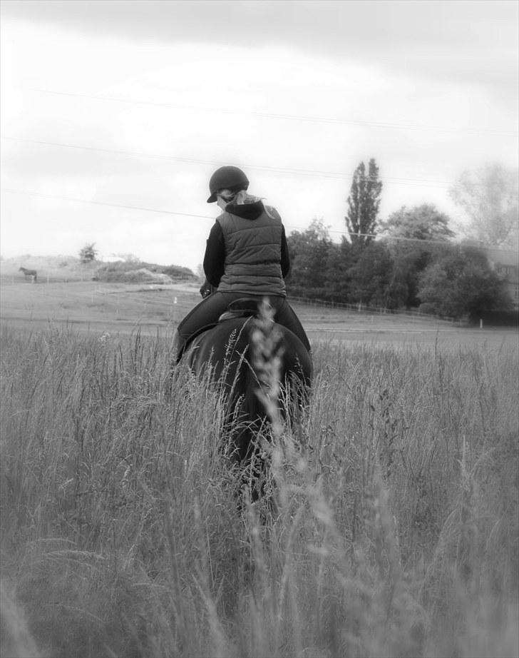 Oldenborg Emma (Dot) Hestbækgård - +*.I only hope that ill one day deserve what you've given me, but all i can do is trye , everyday in my life.*+ billede 20