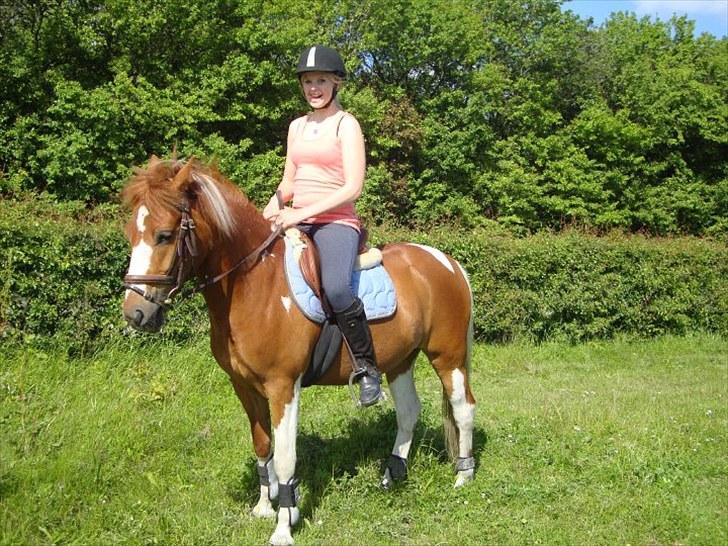 Pinto Jackpot <3 billede 14