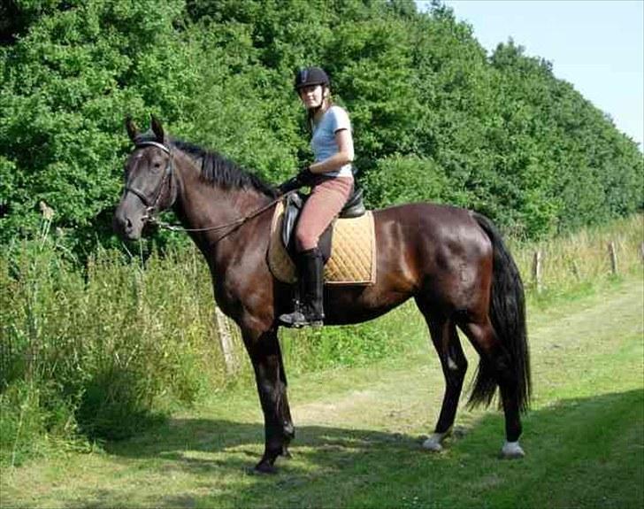 Oldenborg Alexia af Vodagergård - Alexia og jeg på skovtur billede 1