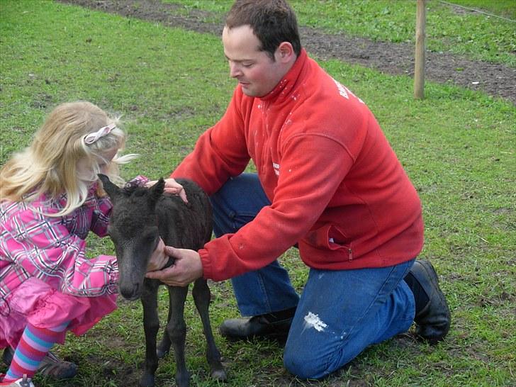 Miniature Prinsesse (solgt) - Uha de mennesker er farlige de holder på mig jeg vil altså væk. billede 2