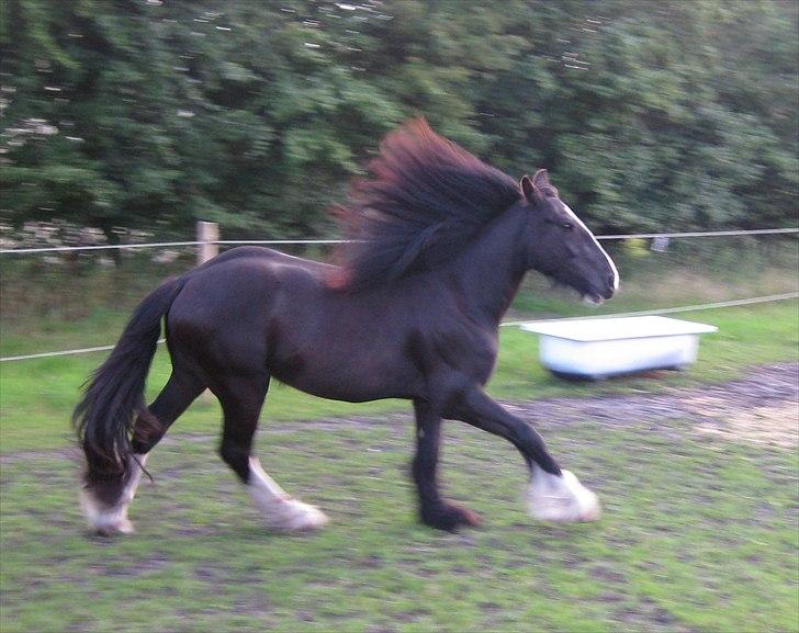 Tinker Joey Mac Nessa billede 12