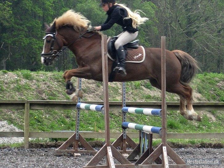 New Forest Sun Fire l Soulmate l - For hvet trin er der et tilsvarene og et mod sat..  billede 4