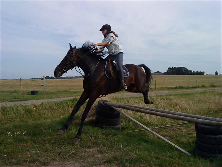 Traver Ibrahim Grau (byttet)  :( - sys det er en lidt for vildt landing :P billede 20