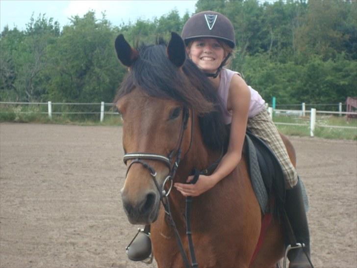 Anden særlig race Prinz billede 2