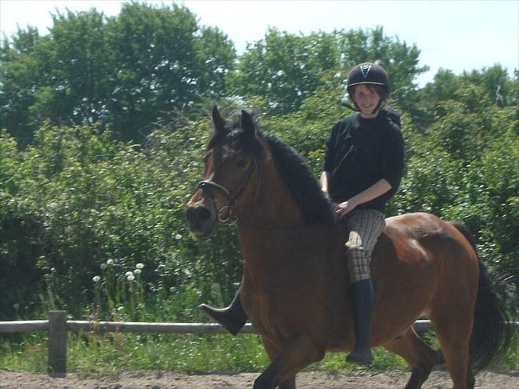 Anden særlig race Prinz billede 8