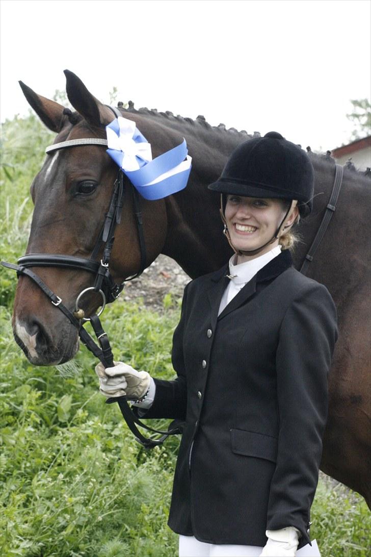 Tysk Varmblod Freja - D. 12. juni 2010 [Foto: ©AM] billede 2