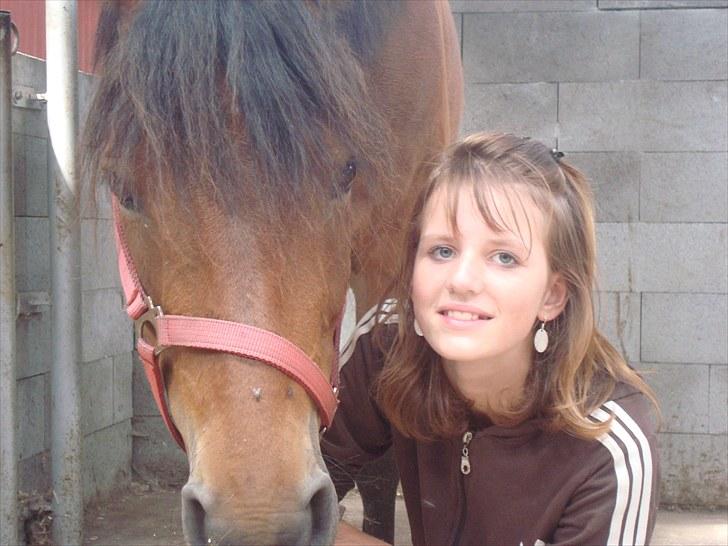 Anden særlig race Prinz billede 10