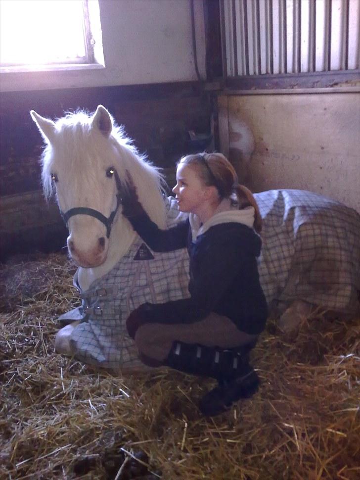 Connemara walentin billede 14