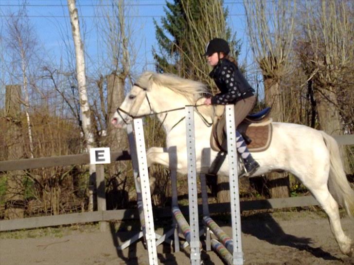 Connemara walentin billede 15