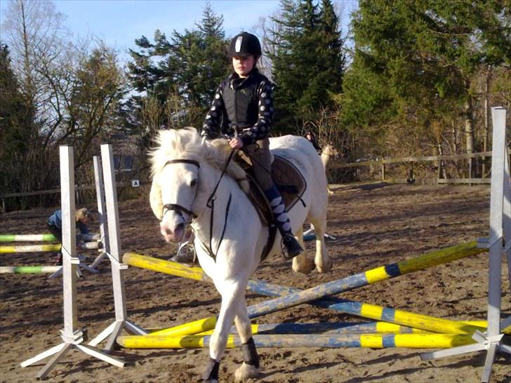 Connemara walentin billede 16